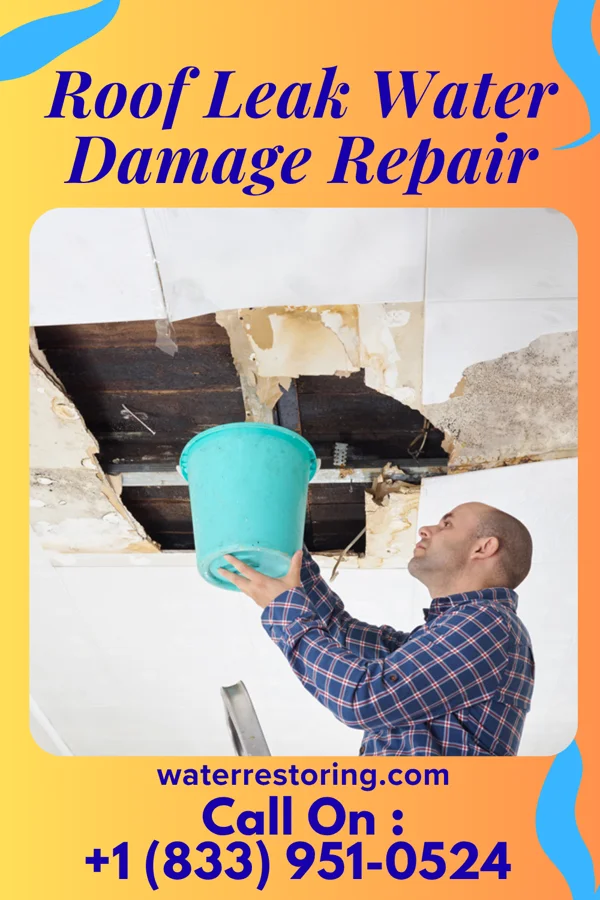 Roof Leak Water Damage Repair in Hiltonia, GA